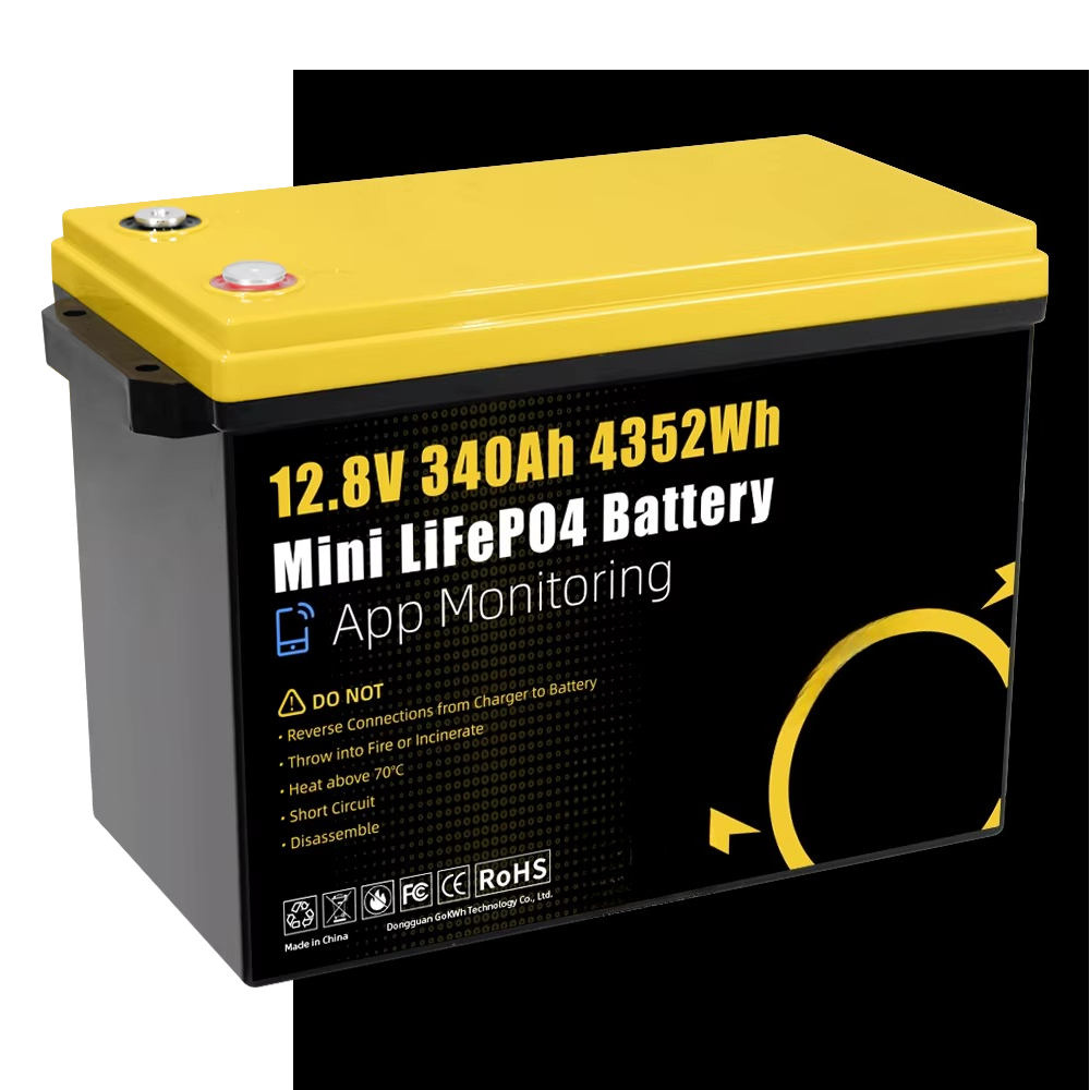 GoKWh Marine 12v Lifepo4 bater - Lithium Battery 100Ah reseña y precio