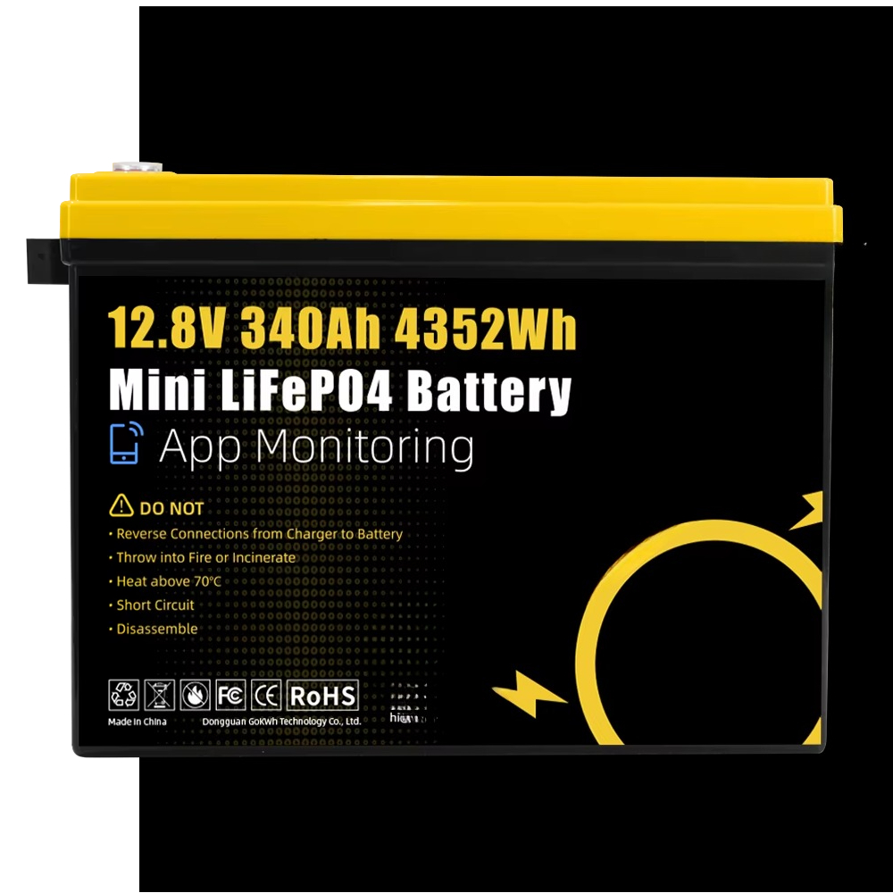 GoKWh Marine 12v Lifepo4 bater - Lithium Battery 100Ah reseña y precio
