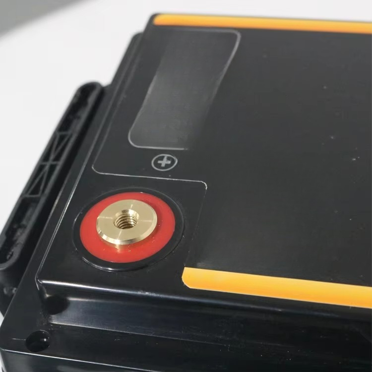 Lifepo4 12 V 100Ah 200Ah 300Ah - Lithium Battery 100Ah reseña y precio