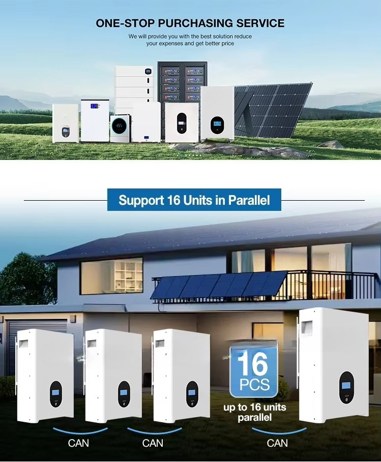 48V 51.2V 5kWh 10KWh 15kWh 16k - Lithium Battery 100Ah reseña y precio